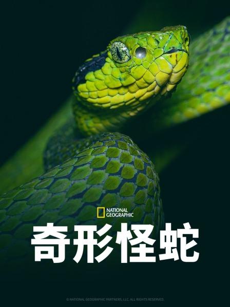 海角吃瓜网《奇形怪蛇》免费在线观看